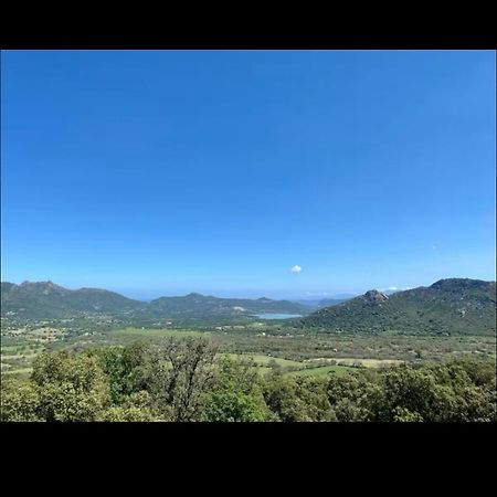 Villa T4 Terrasse Vue Sur Mer Muro (Corsica) Exterior foto